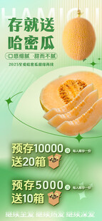 哈密瓜海报