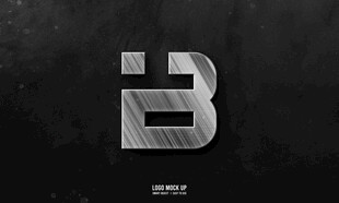 金属logo样机