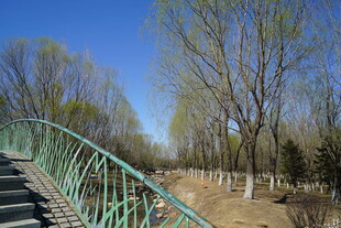 沈阳莫子山公园