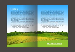 画册设计
