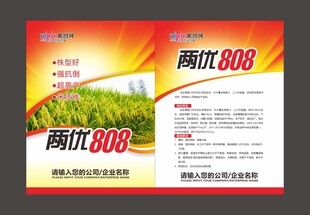 单页设计