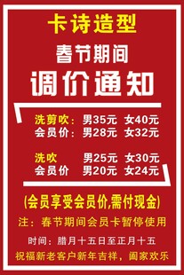卡诗造型理发店海报