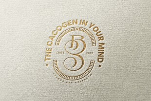 烫金logo样机