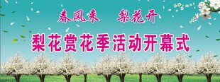梨花节开幕式背景