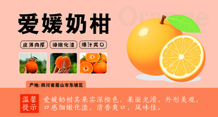 水果 爱媛 奶柑 胖东来