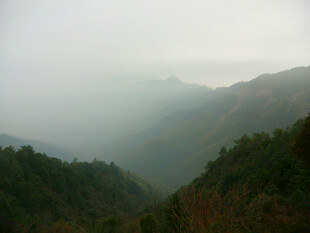 迷雾缭绕的山