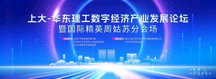经济论坛背景