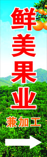 脐橙果业   