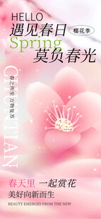  樱花季