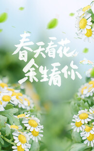 春天看花 余生看你