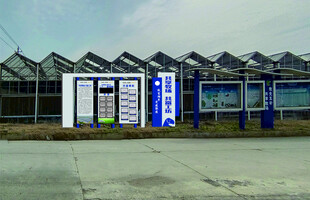 湖羊共富工坊景观小品