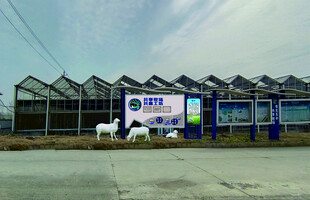 湖羊共富工坊景观小品