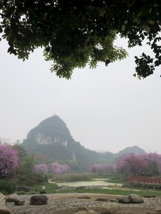 柳州都乐公园