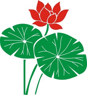 荷花莲花