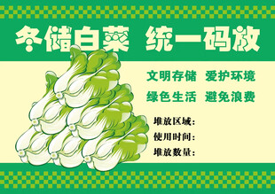 冬储白菜 统一码放