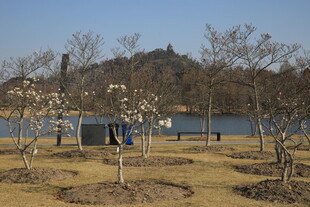 辰山植物园