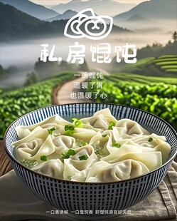 手工云吞 广式美食 速冻食品 