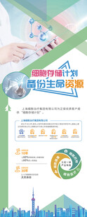 公司展架
