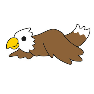 老鹰