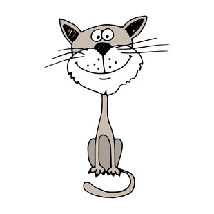 小猫