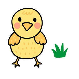 小鸡