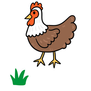 母鸡