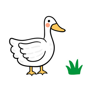鸭子
