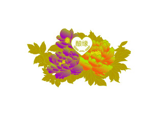 牡丹花  喜庆 结婚  彩色 