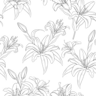花朵线稿底纹