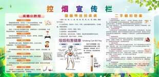 控烟宣传栏