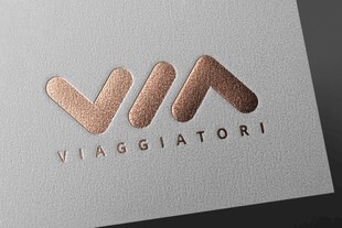 烫金 logo样机