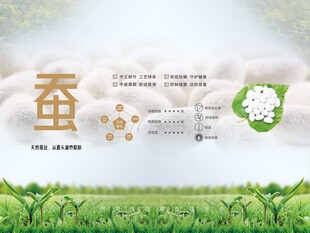 蚕丝被蚕丝家纺