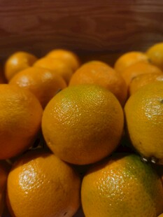 橙子