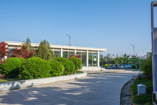 现代园区景观道路景象