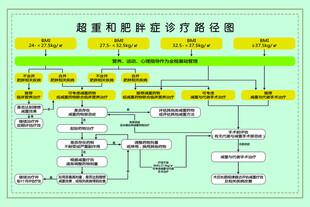 超重肥胖症诊疗图