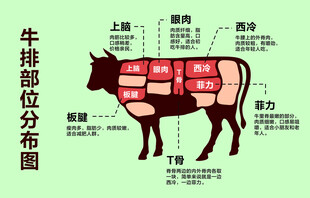 牛排部位