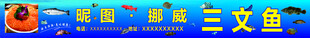 三文鱼招牌