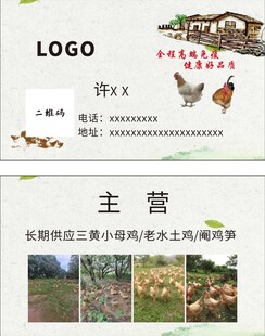 散养土鸡 养鸡场名片