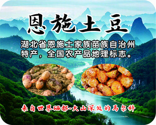土豆海报