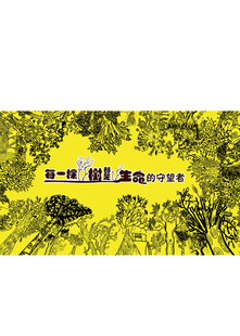 参天大树 簇拥