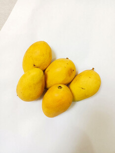 小台芒