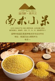 小米  招贴 广告 版式设计