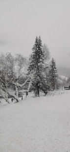 禾木景区  雪城 雪景 雪山 