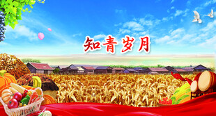 知青岁月