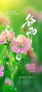 古雨