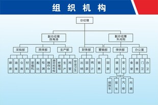 组织机构架构图展示