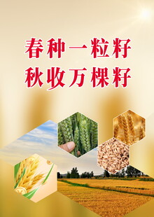 产品单页
