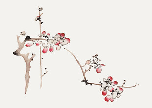 水墨风枝头红果花鸟图