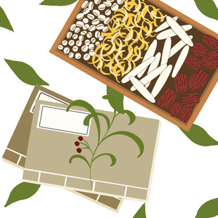 传统中药材展示