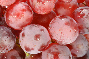 红葡萄